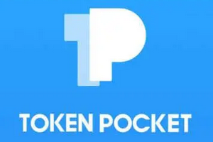 tokenpocket薄饼交易所中文版|Moonbeam，Polkadot 的平行链之星：解释